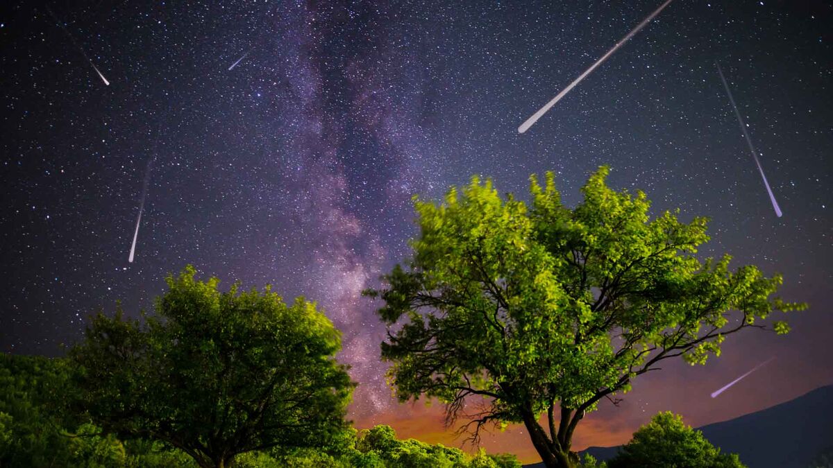 Rozgwieżdżone niebo z Drogą Mleczną oraz licznymi meteorami rozciąga się nad koronami zielonych drzew. Na pierwszym planie znajdują się wysokie drzewa, a nad horyzontem widoczna jest poświata oraz zarys odległych wzgórz. Tło wypełnia nocne niebo z gęsto rozmieszczonymi gwiazdami i śladami spadających meteorów.