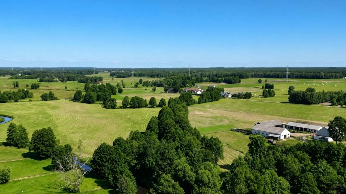 Rozległy krajobraz wiejski został sfotografowany z lotu ptaka. Widoczne są zielone pola, łąki, zadrzewienia, pojedyncze gospodarstwa z białymi budynkami oraz niewielkie zbiorniki wodne. W tle rozciągają się lasy, linie wysokiego napięcia i bezchmurne błękitne niebo.
